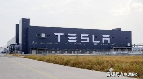 馬斯克拋繡球 特斯拉第五座工廠或再落地中國